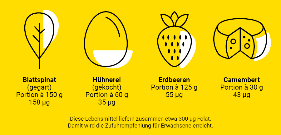 Menü Folat neu