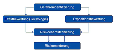 Schematische Darstellung der Risikobewertung