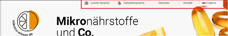 mikroco-leichte-sprache-navigation-2 (png)