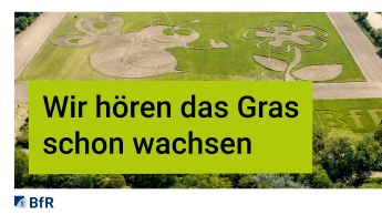 BfR-Nektar-Hektar: Teaser 1 – Das 5. interaktive Pflanzenlabyrinth