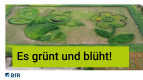 BfR-Nektar-Hektar: Teaser 3 – Das 5. interaktive Pflanzenlabyrinth