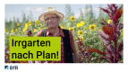 BfR-Nektar-Hektar: Teaser 5 – Das 5. interaktive Pflanzenlabyrinth